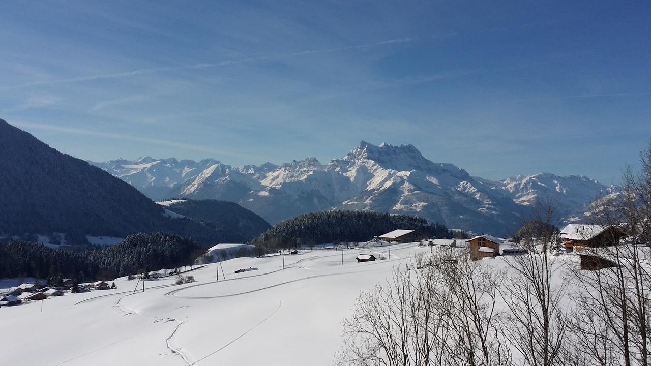 Winterfell Villa Leysin Eksteriør billede