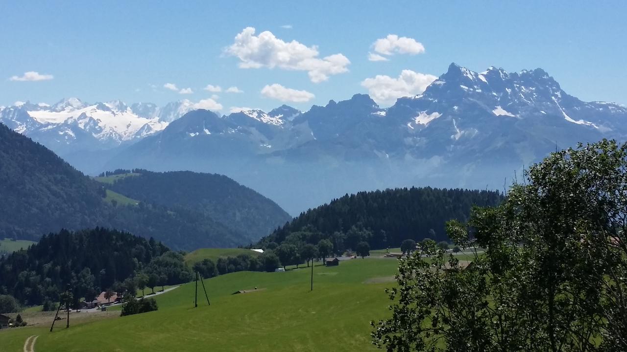 Winterfell Villa Leysin Eksteriør billede