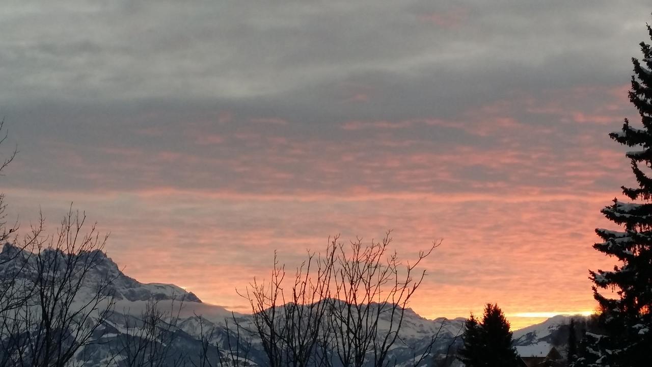 Winterfell Villa Leysin Eksteriør billede